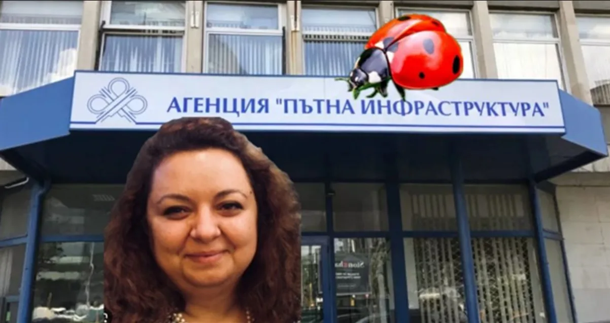 Как се фабрикува професионален опит за заемане на висок пост в АПИ