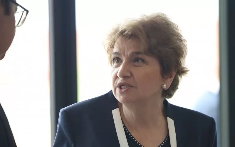 Плугчиева подаде оставка като съветник на служебния премиер Главчев