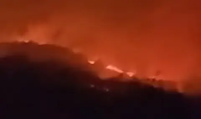 Пожар бушува в северозападната част на Стара планина през изминалата нощ