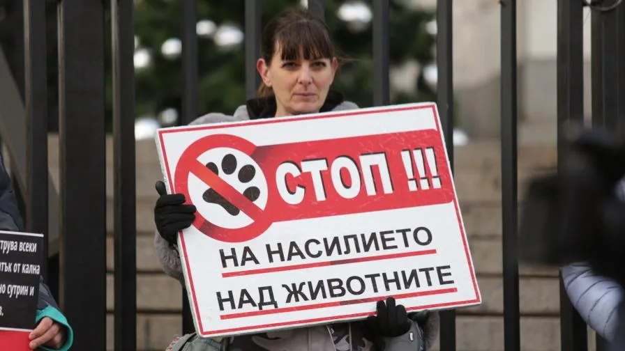 Защо протестите за правата на животните са важни
