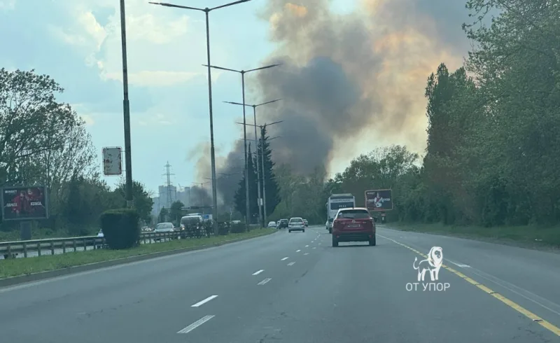 Голям пожар в района на бургаския квартал "Меден рудник" (ВИДЕО)