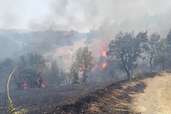 Пожар край Симитли изпепелява къщи