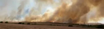 Пожар пламна край бургаското село Маринка