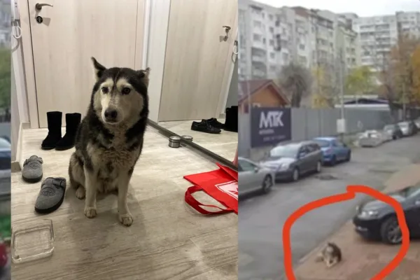 Снимка: Actualno.com