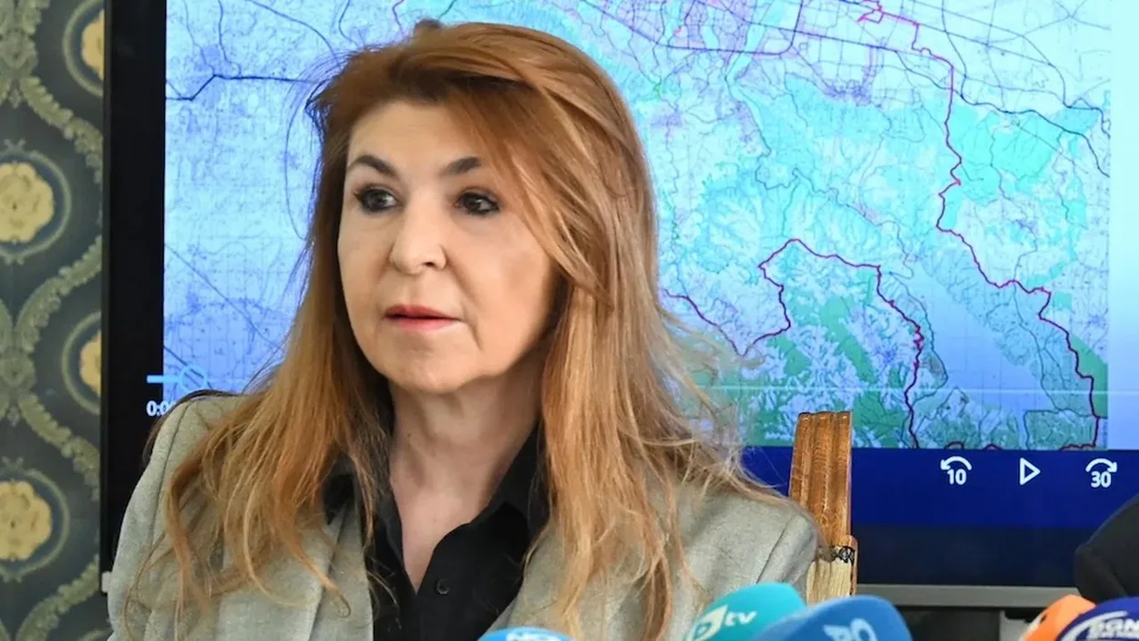 Богдана Панайотова, главен архитект на София, по време на публично изявление