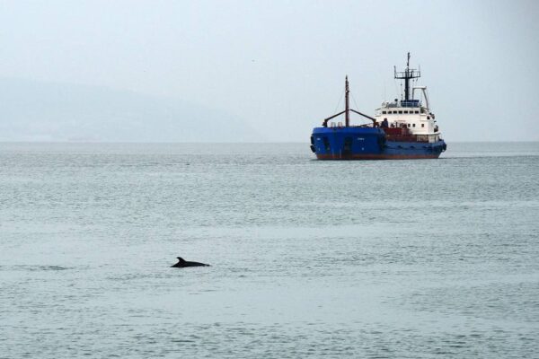 Естония няма да задържа руски кораби в Балтийско море поради риск от ескалация